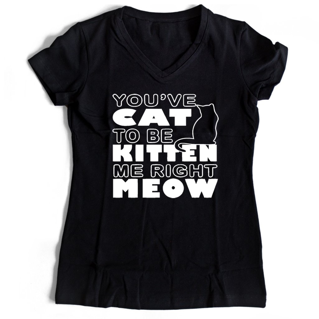 Are You Kitten Me Right Meow Women’s V-Neck Tee T-Shirt