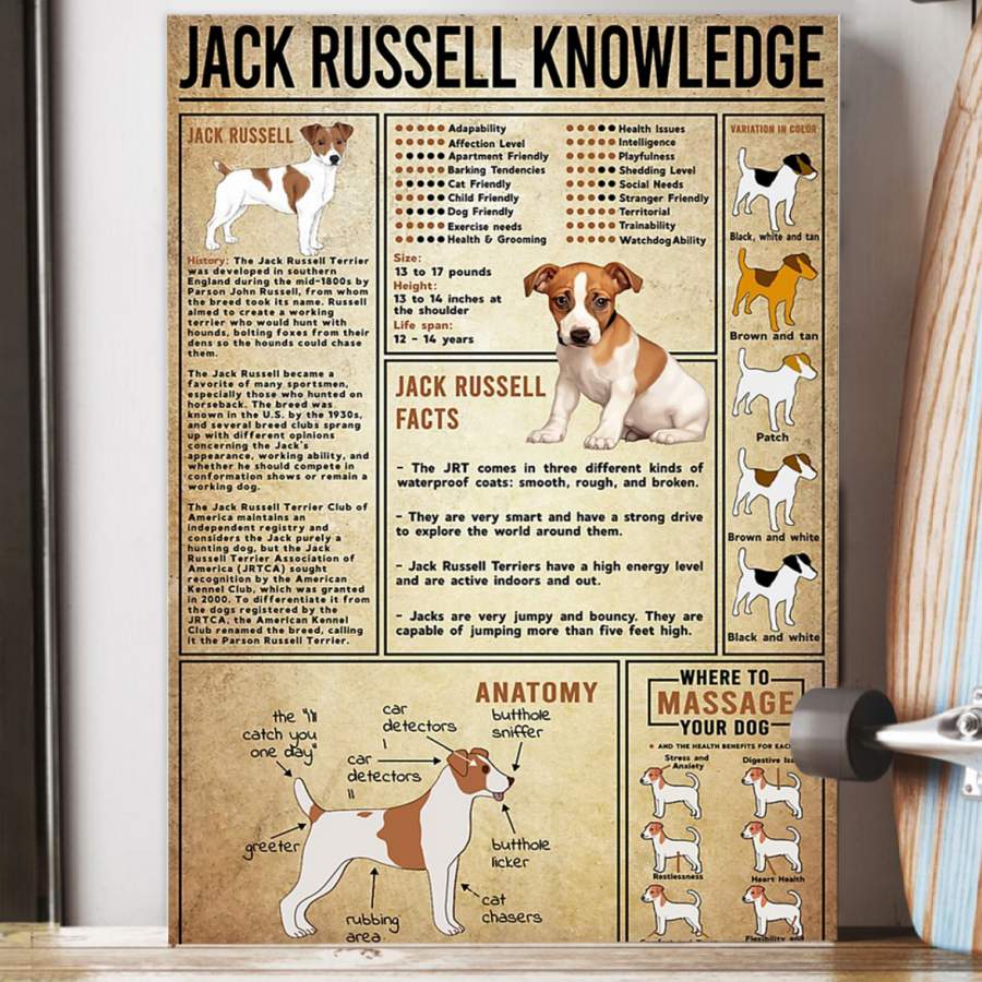 Jack Russell Knowledge Gift For Jack Russell Lovers Poster