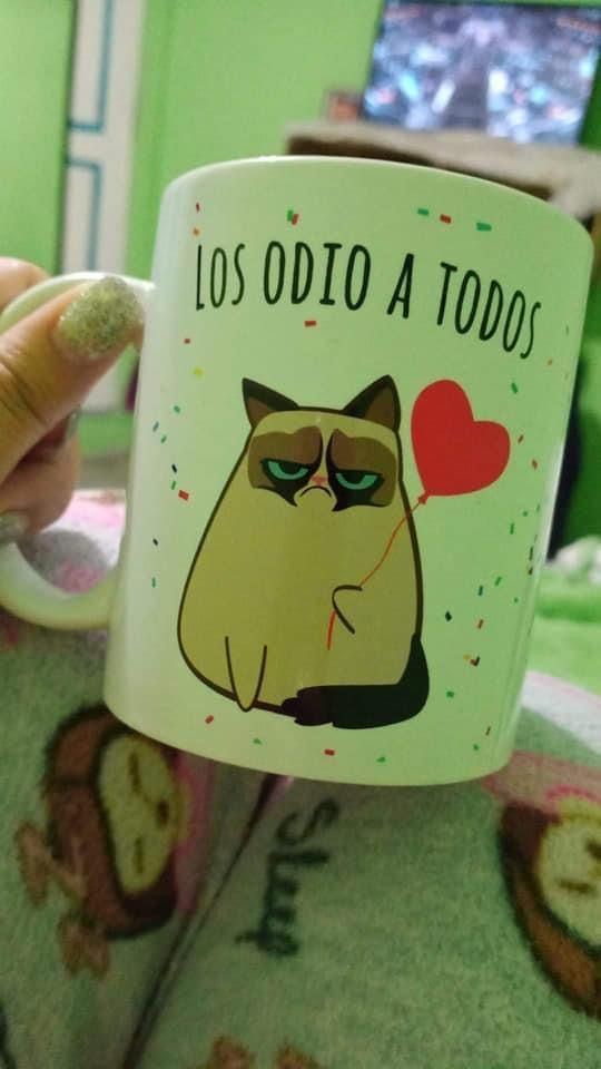 Los Odio A Todos Mug