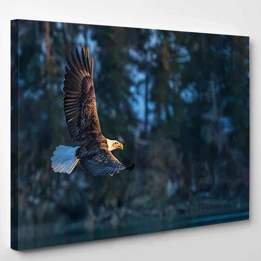 American Bald Eagle Flight Against Background – Eagle Animals Canvas Print