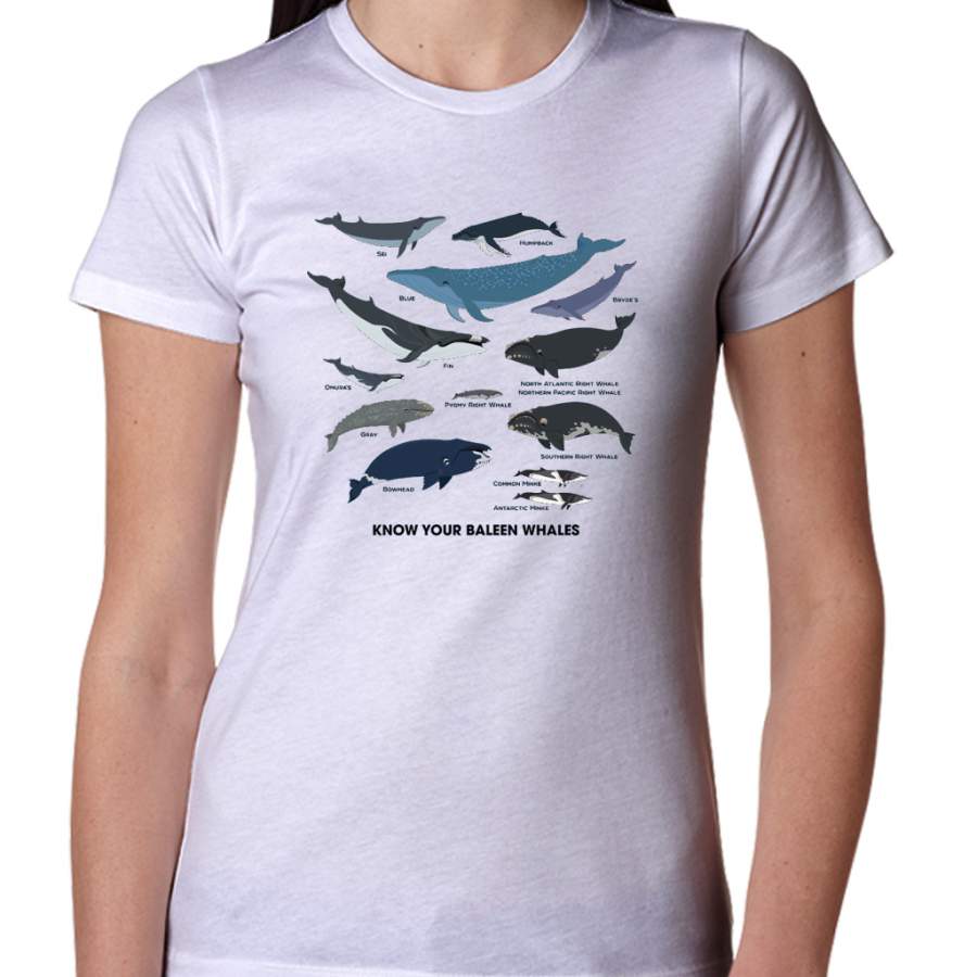 Know Your Baleen Whales Women T-Shirt