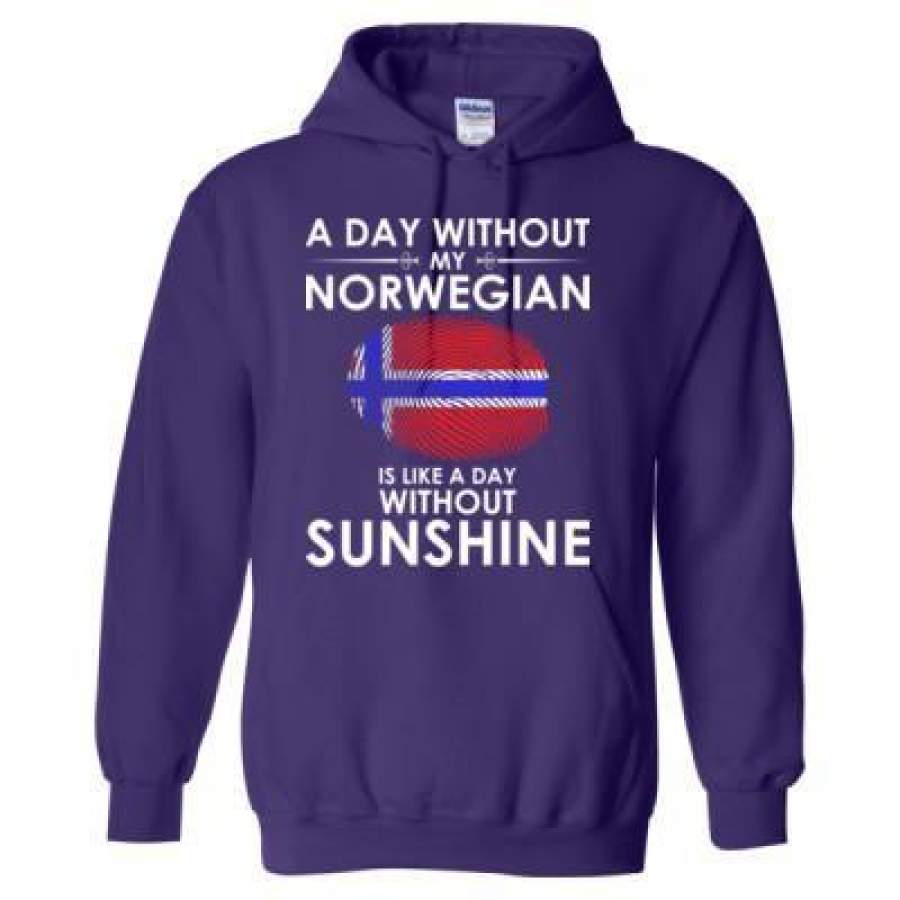 AGR A Day Without My Norwegian Is Like A Day Without Sunshine – Heavy Blend™ Hooded Sweatshirt