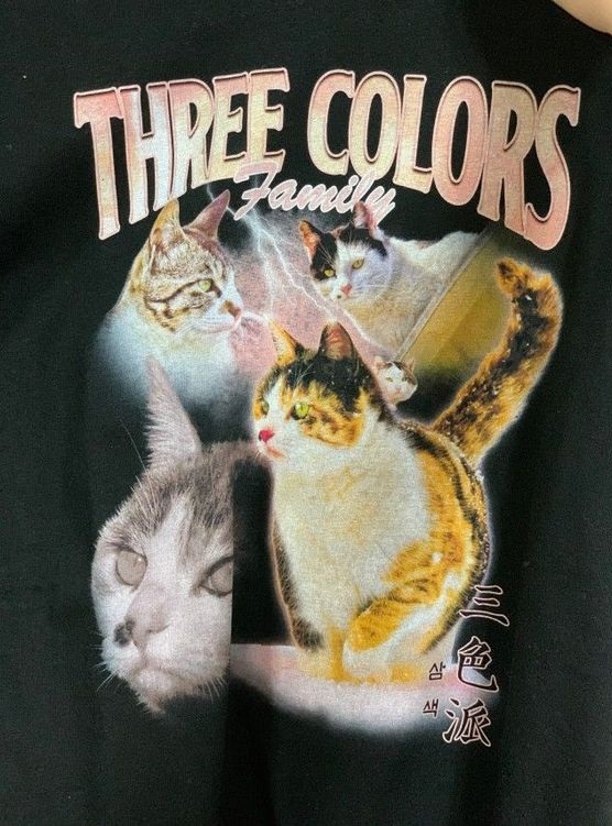 Three Colors Family Cat Shirt Outfit