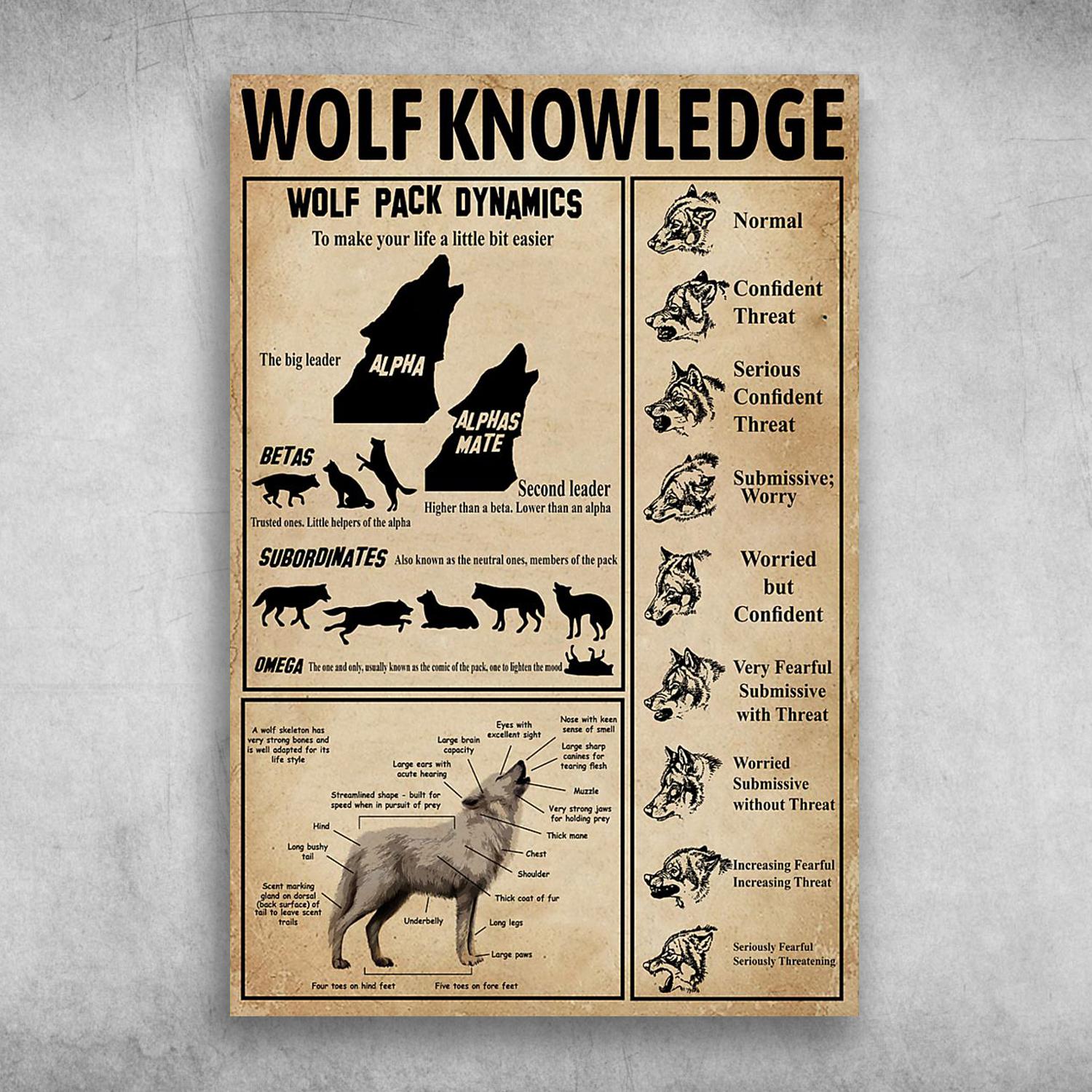 Wolf Knowledge Wolf Pack Dynamics Something About Wolf Poster Print, Canvas Print, Canvas Wall Art, Canvas And Poster Wall Decor