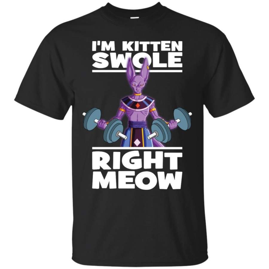 CATS – Im Kitten Swole Right Meow Beerus T Shirt & Hoodie