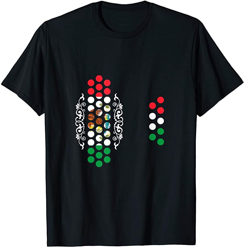 Accordion Mexico Mexican Flag Accordionist Musician T-Shirt