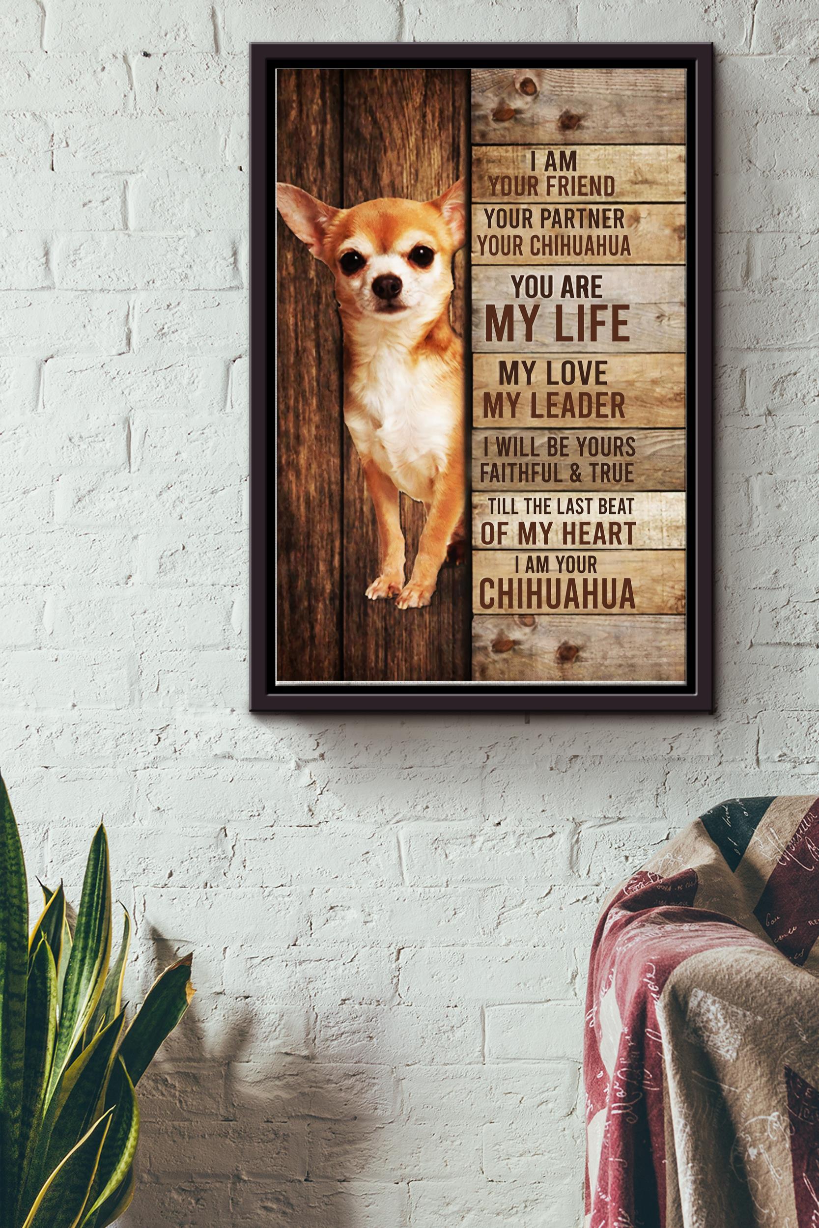 Chihuahua I Am Your Friend Poster – Animal Wall Art – Gift For Dog Lover, Chihuahua Foster, Puppy Fan Framed Matte Canvas