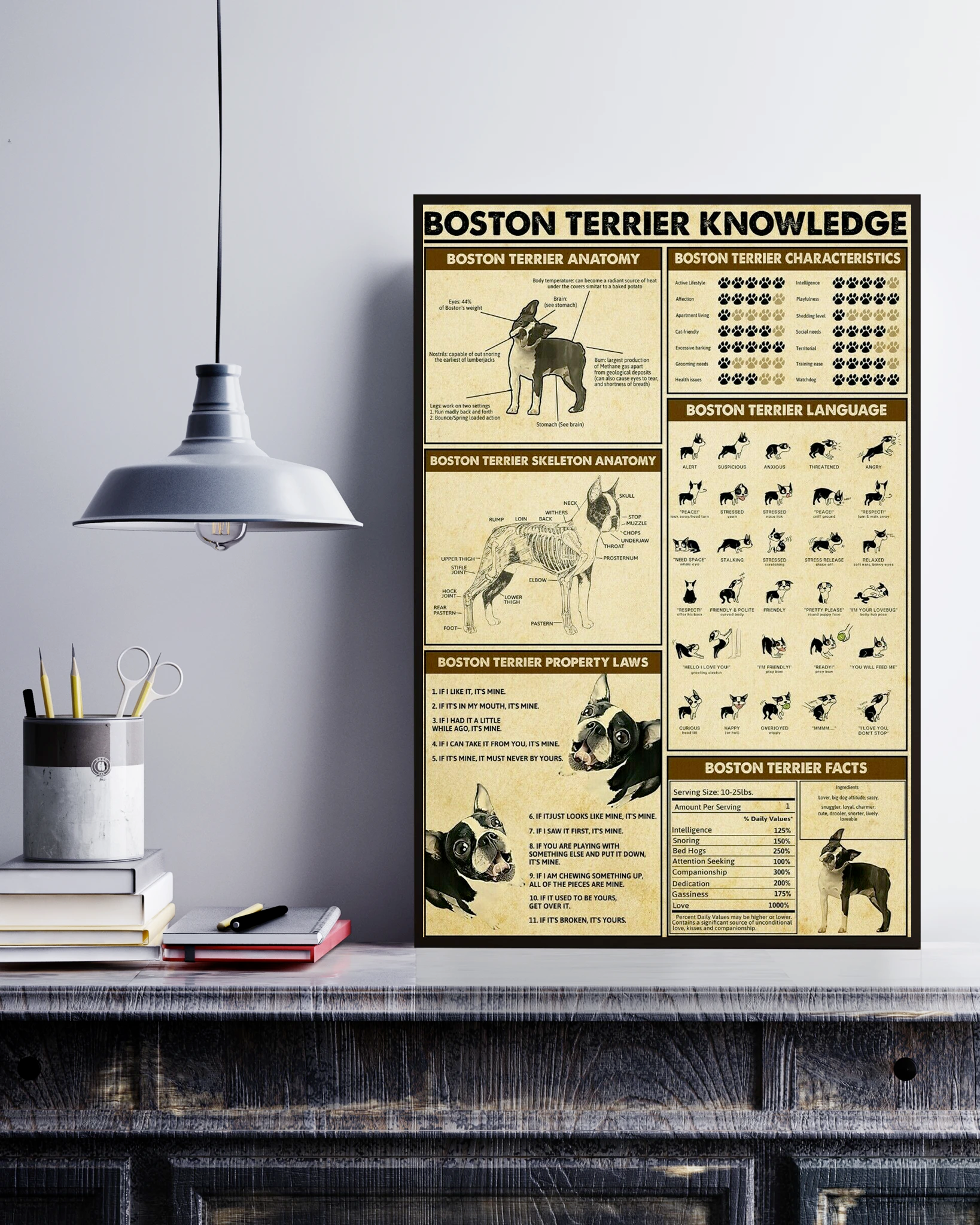 Boston Terrier Knowledge Poster