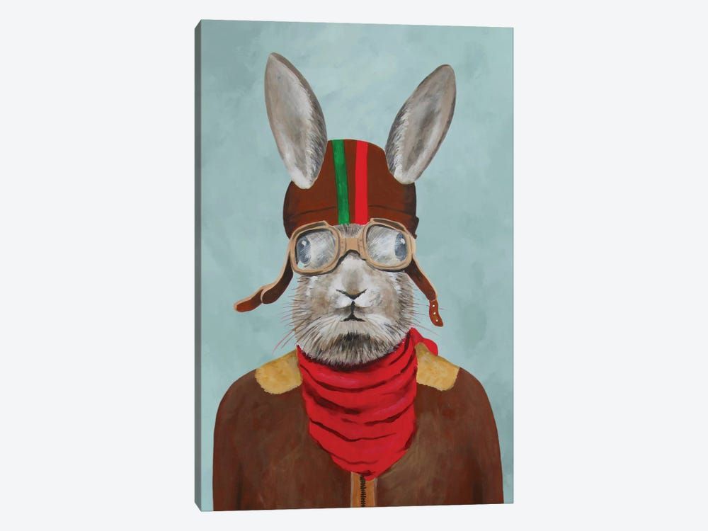 Rabbit Aviator I Canvas Poster 8″x12″ 12×18″ 18″x26″ 24″x36″ 30″x45″