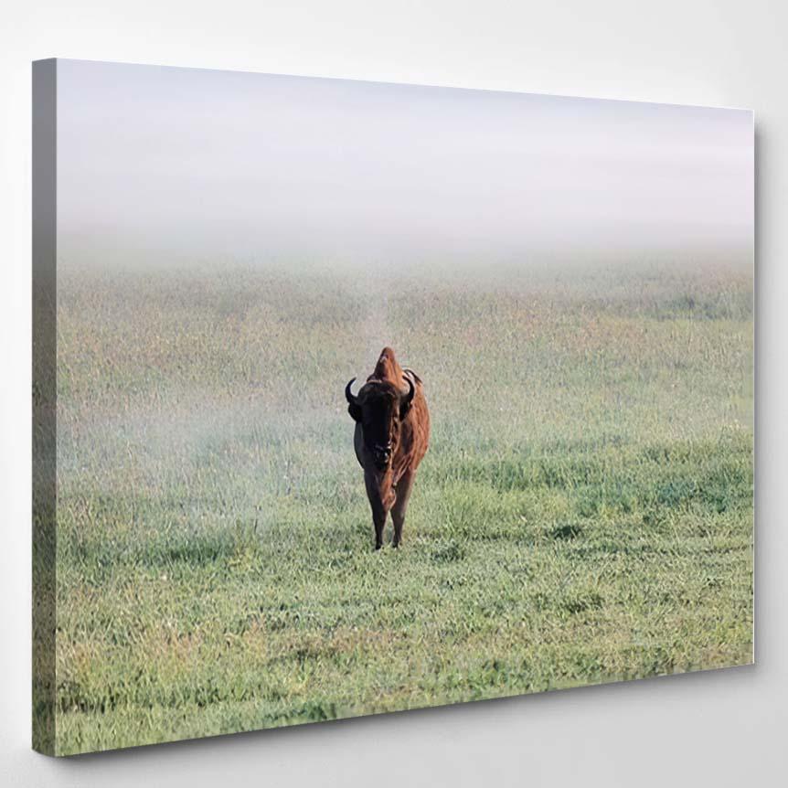 Wild European Bison Bull Bonasus On – Bison Animals Canvas Print