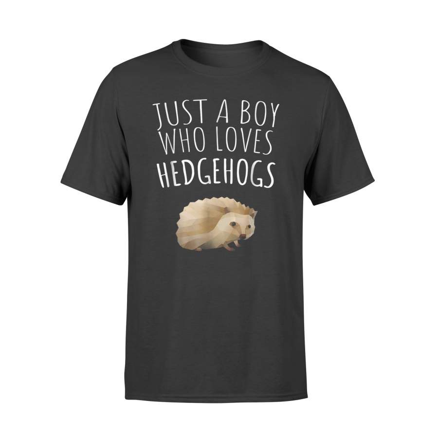 Just A Boy Who Loves Hedgehogs T-Shirt