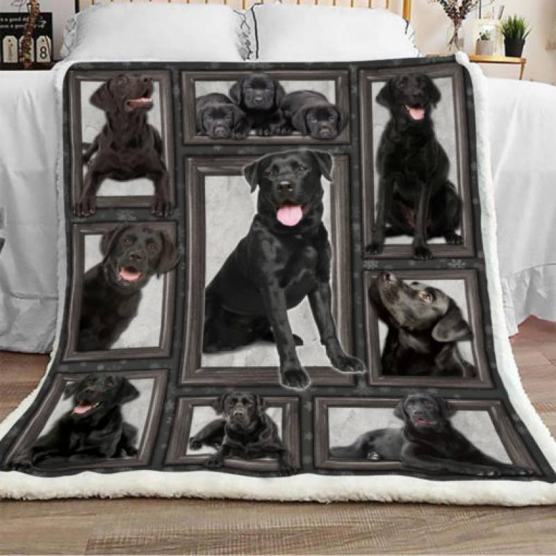 Labrador Retriever Dog Sherpa Blanket JR0202 95O35