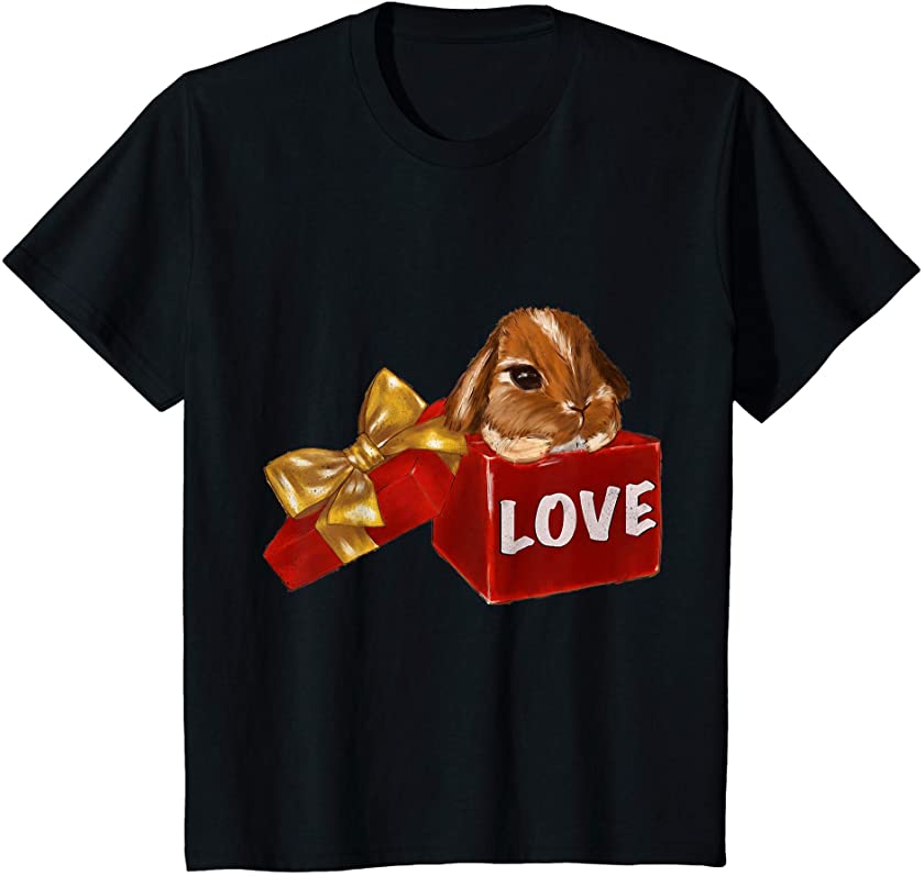 Kids Bunny Rabbit Lover Valentine Gift – Bunny Valentine’s Day T-Shirt