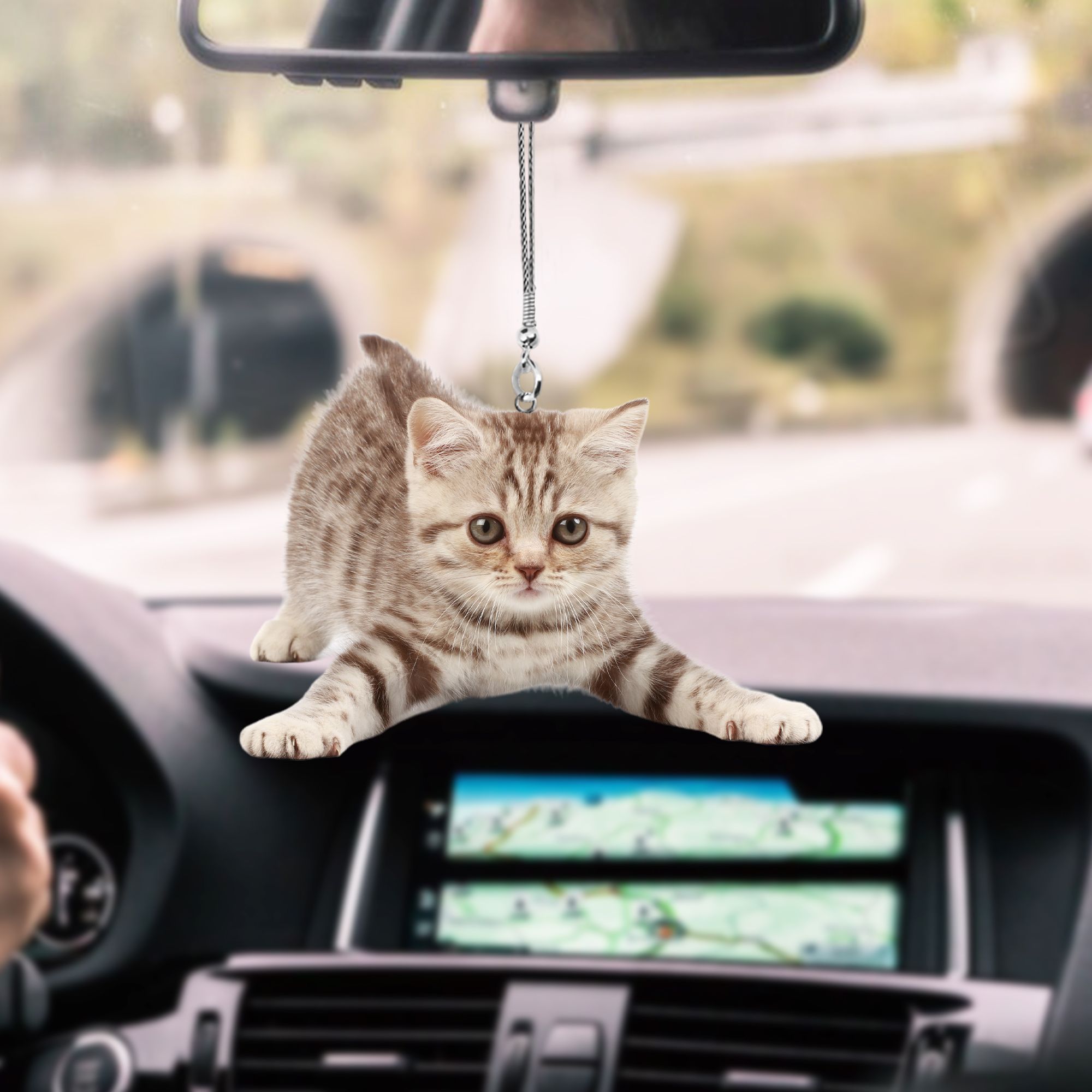 Cat Kitten Wants You Car Hanging Ornament