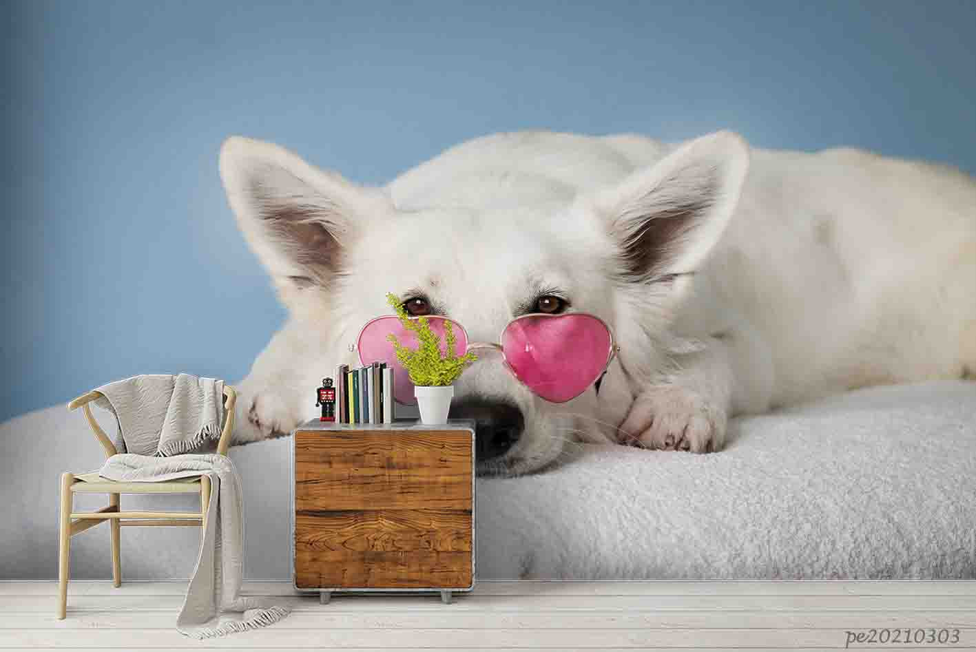 3D White Animal Dog Glasses Wall Mural Wallpaper Lqh 10