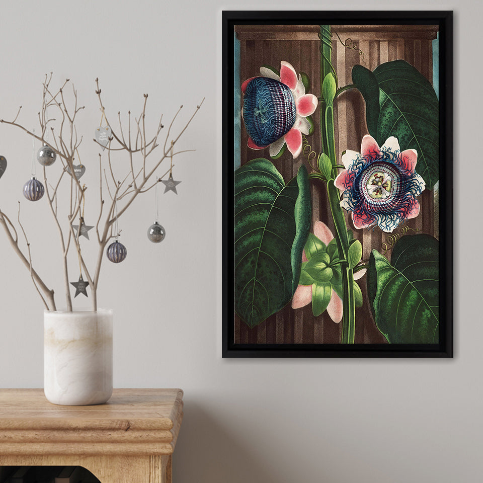 The Quadrangular Passion Framed Canvas Print – Canvas Painting, Canvas Art, Wall Art, Wall Decor