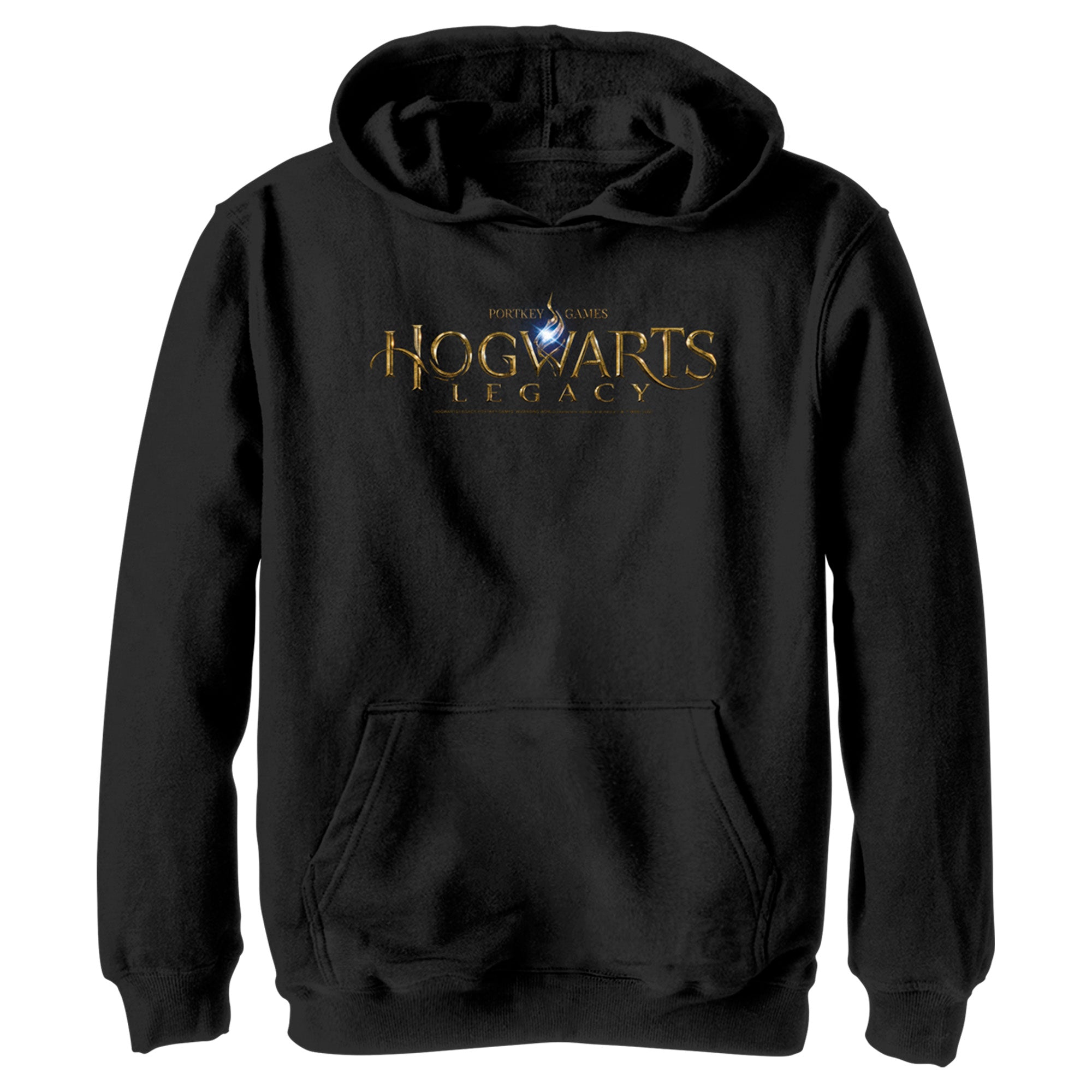 Boy’S Hogwarts Legacy Official Logo Pull Over Hoodie