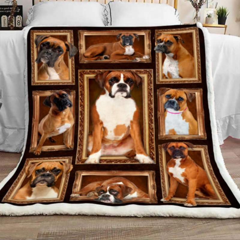 Boxer Dog Sherpa Blanket JR1902 68O52