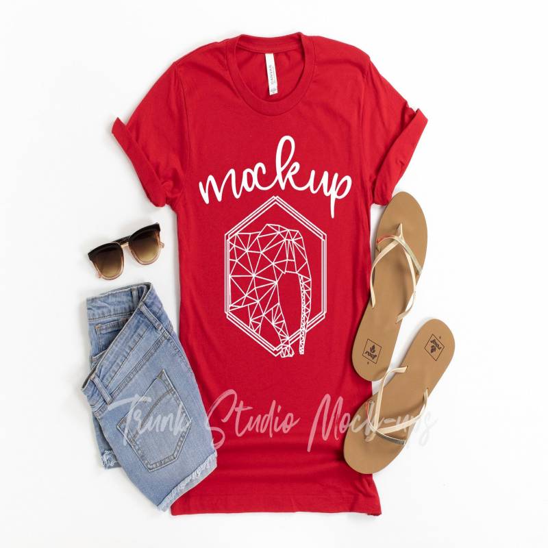 Download Red 3001 Shirt Mock Up, Womens Shirt Mockup, 3001 Shirt ...