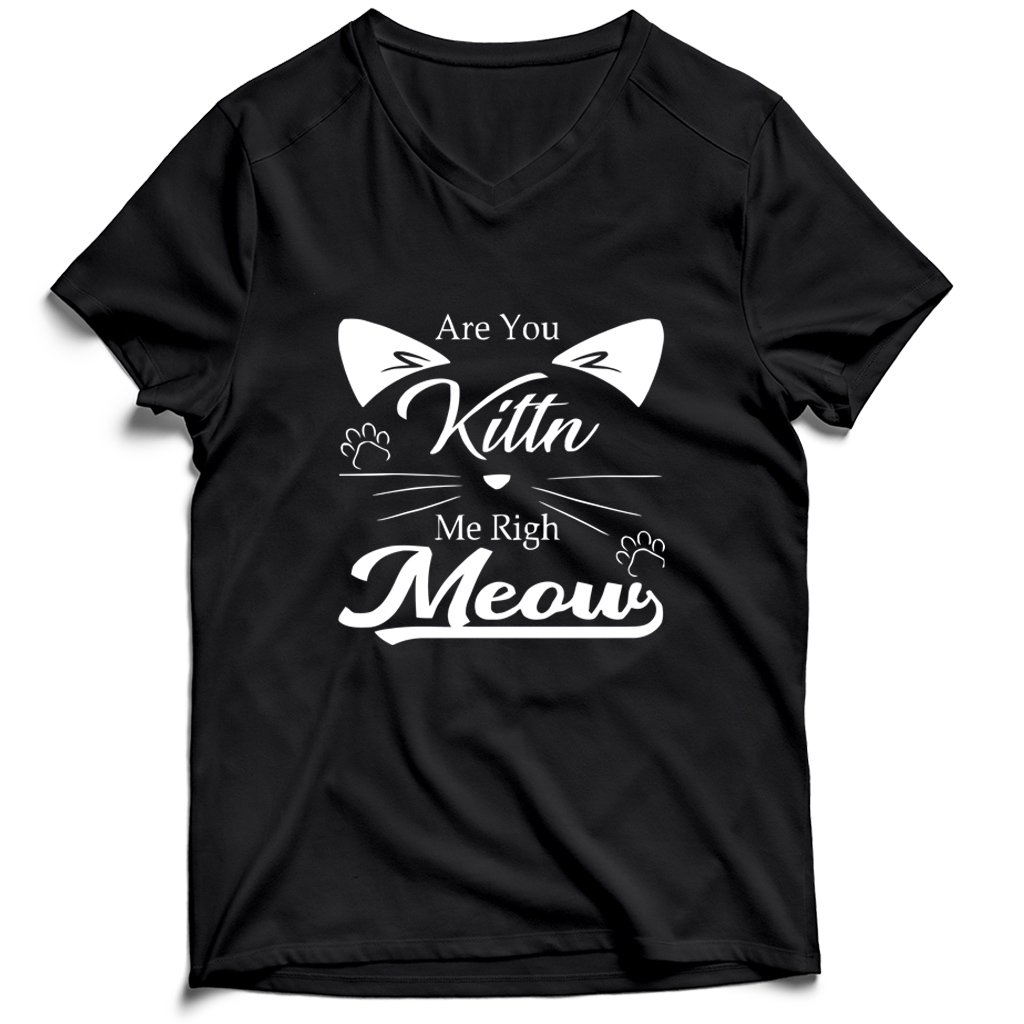 Are You Kitten Me Right Meow Kitty Men’s V-Neck Tee T-Shirt