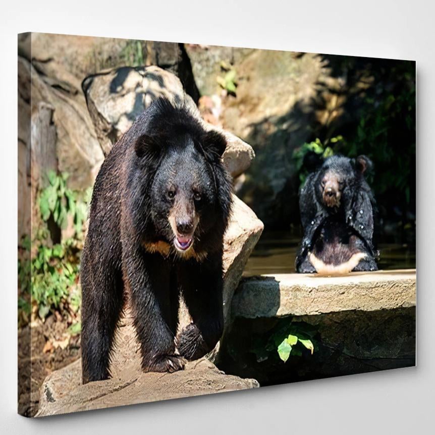 Two Bears Sitting On Rock Facing – Bear Animals Canvas Print