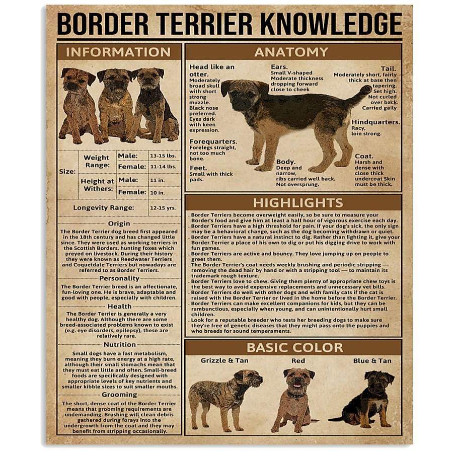 Border Terrier Knowledge Gifts For Border Terrier Lovers Vertical Poster