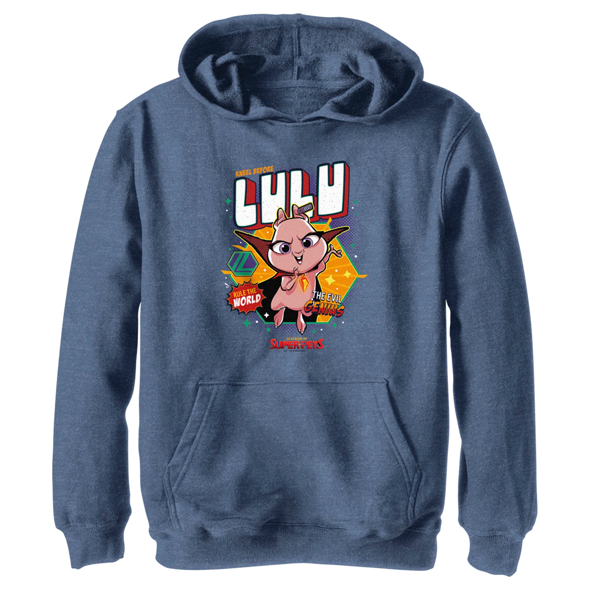 Boy’S Dc League Of Super-Pets Rule The World Lulu Badge Pull Over Hoodie