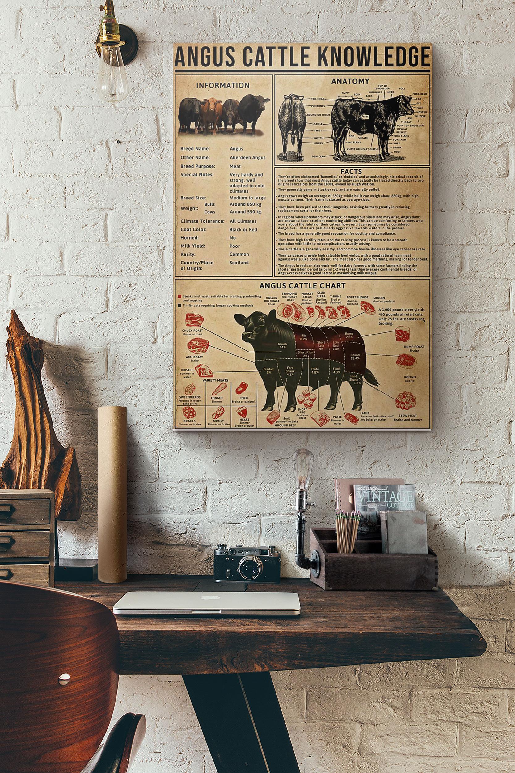 Angus Cattle Knowledge Poster