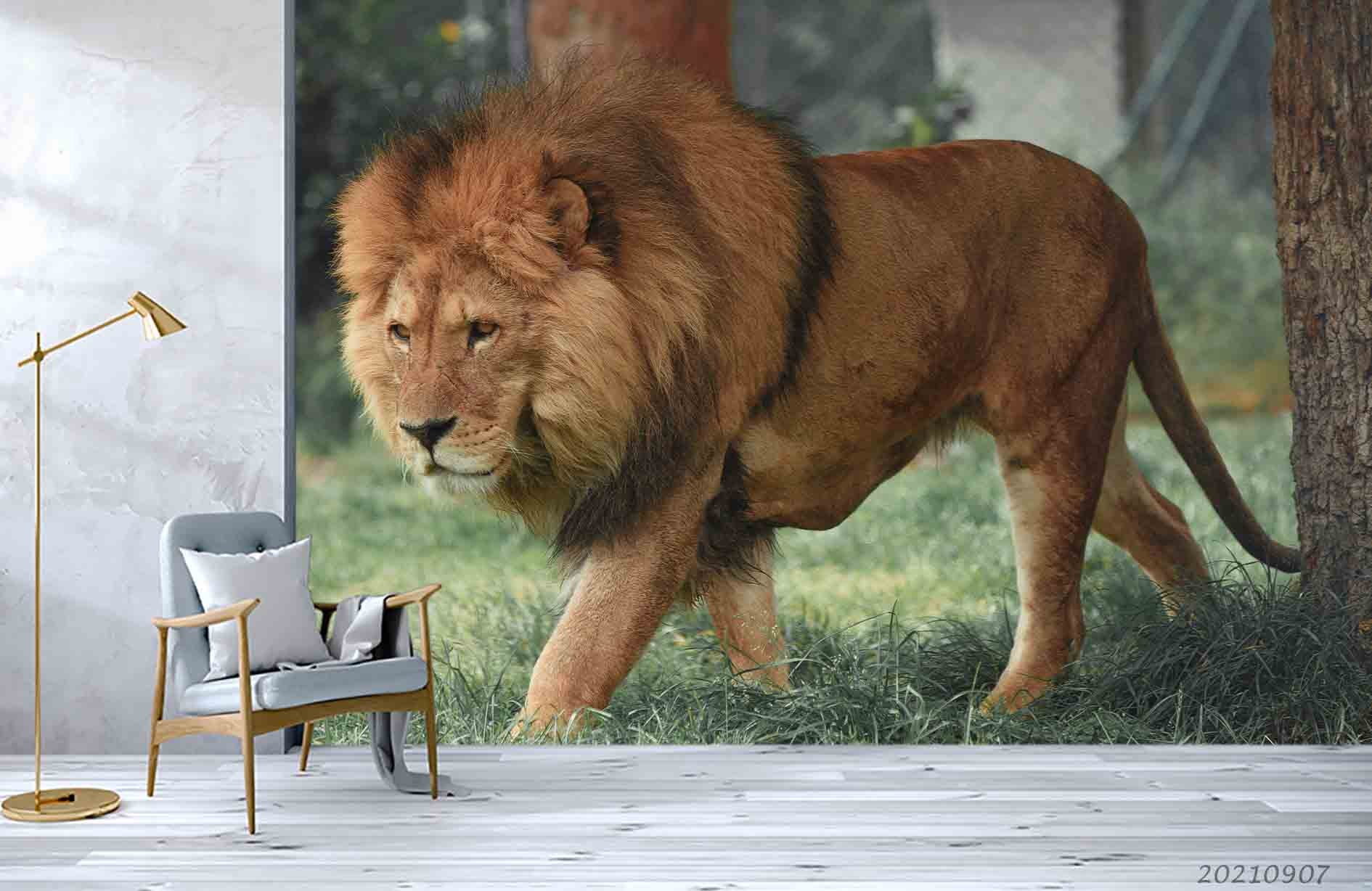 3D Forest Wild Animal Lion Wall Mural Wallpaper Lqh 38