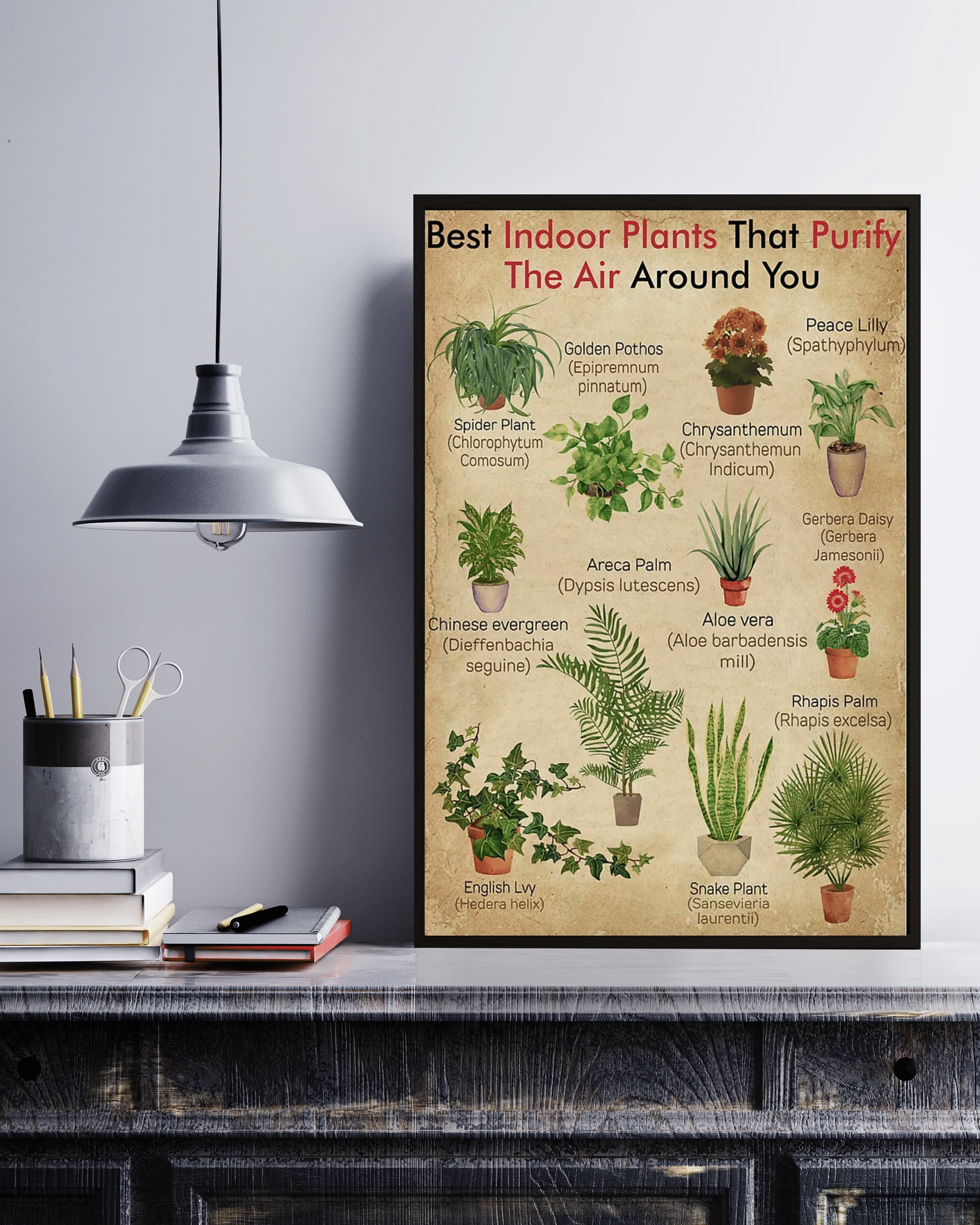 Best Indoor Plants Knowledge Succulents Vertical Canvas