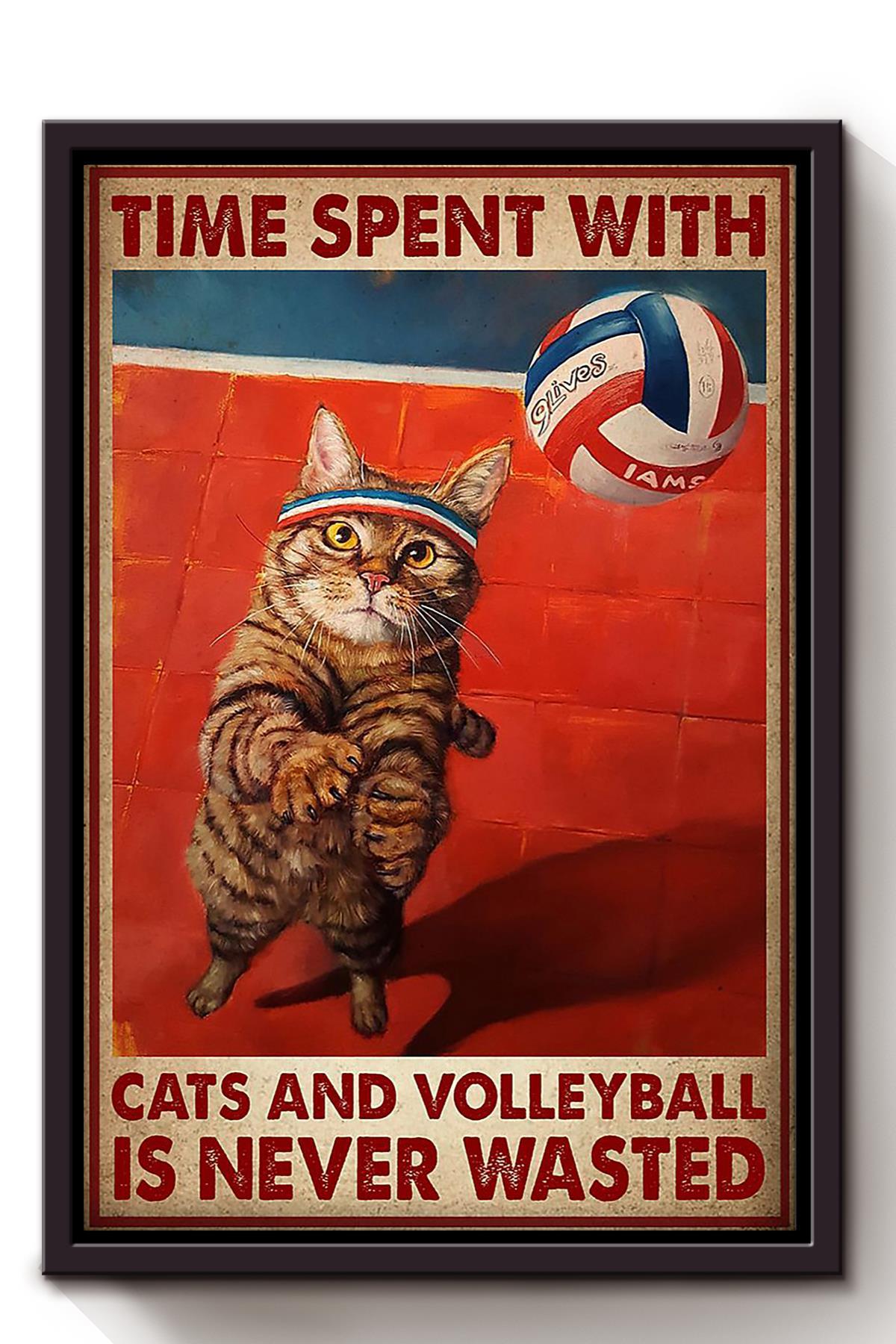 Spend Time With Cat And Volleyball Animal Wall Art Gift For Cat Lover International Cat Day Kitten Foster Framed Canvas