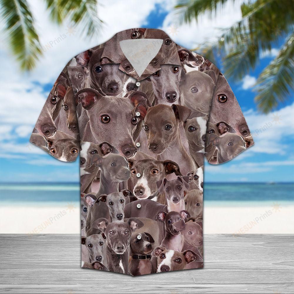 Italian Greyhound Awesome Hawaiian Shirt Ha59538