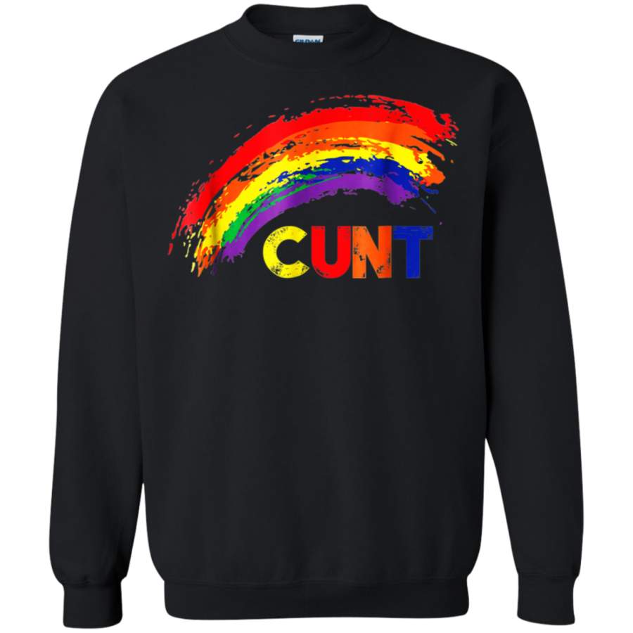 AGR Profanity Shirts Cunt Rainbow Tees Cuss Swear Shirt sweatshirt