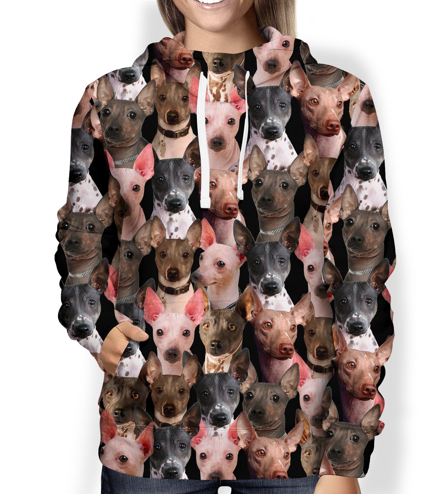 You Will Have A Bunch Of American Hairless Terriers – Hoodie V1