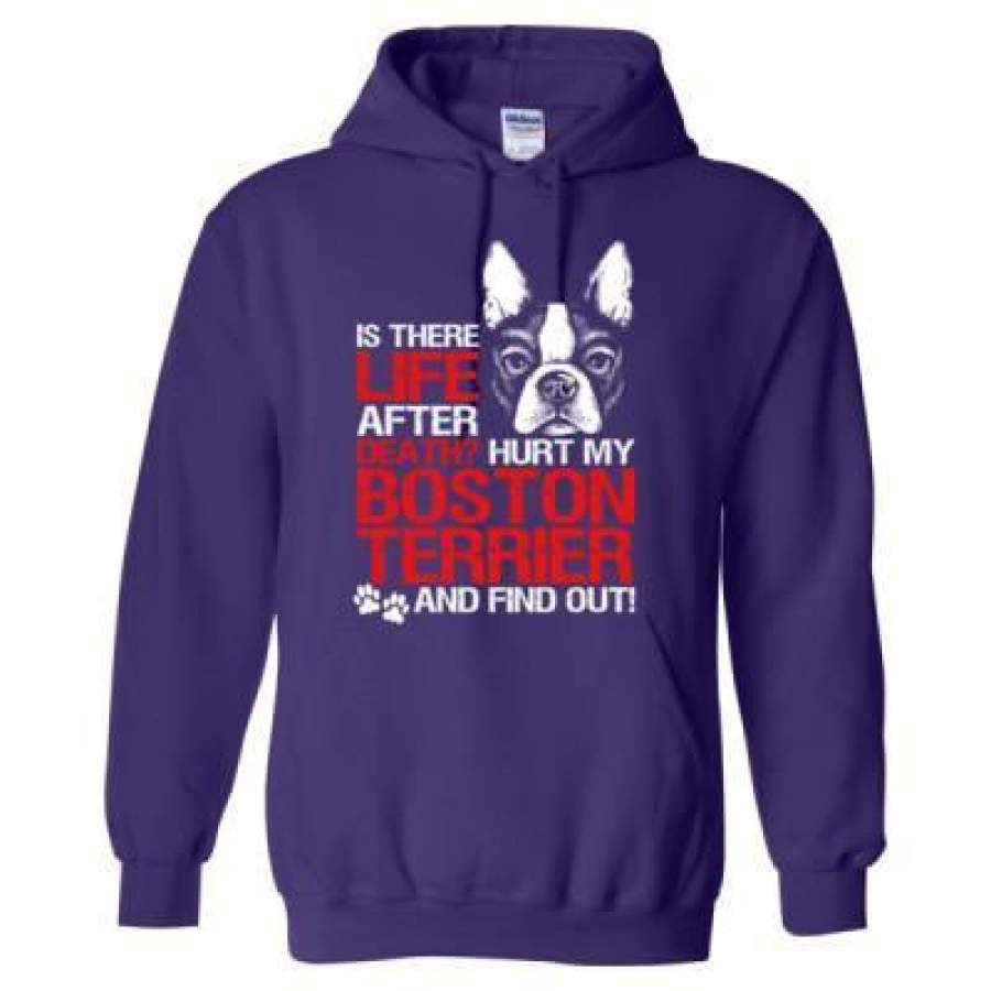 AGR Is There Life After Death Hurt My Boston Terrier Find Out – Heavy Blend™ Hooded Sweatshirt