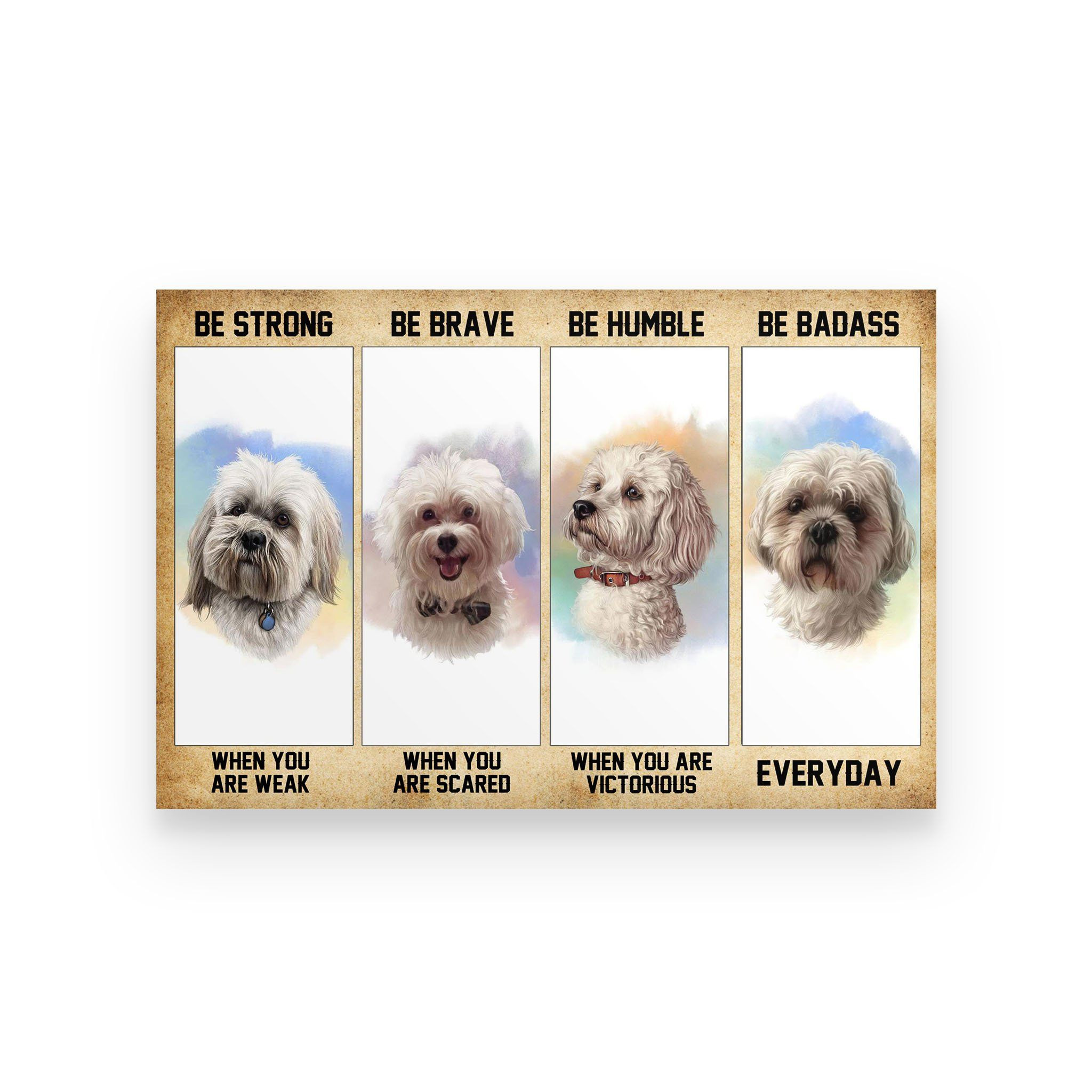 Maltese Dog Poster Hqt20