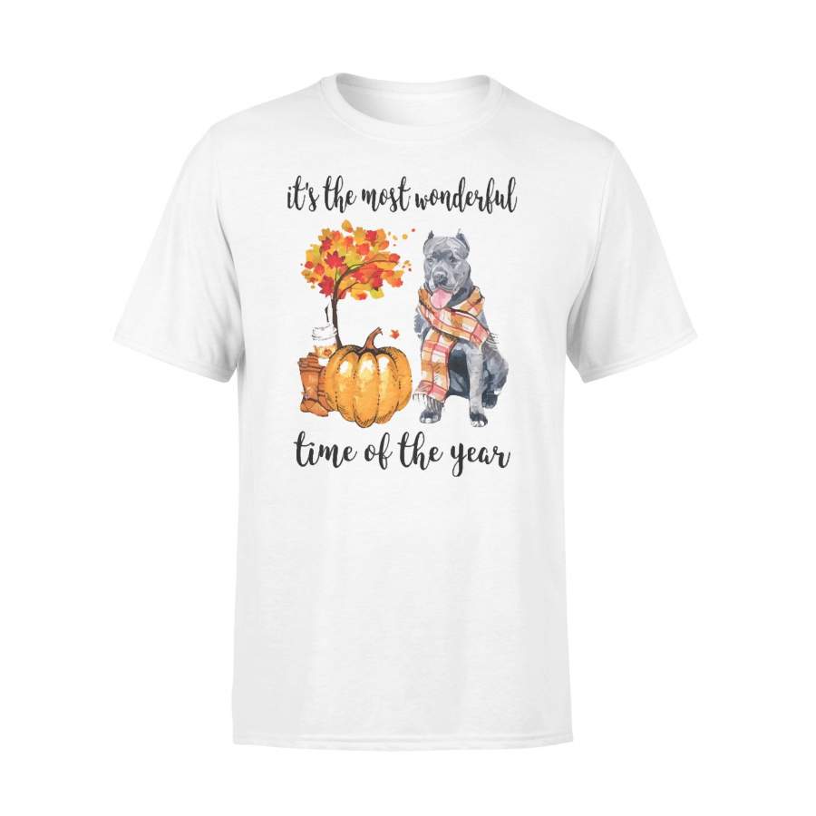 Fall Pumpkin It’s The Most Wonderful Time Of The Year Cane Corso T-Shirt