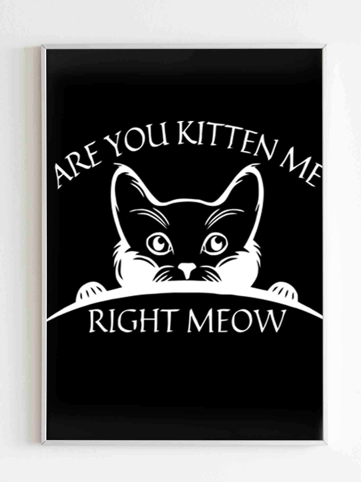 Are You Kitten Me Right Meow Cool Poster