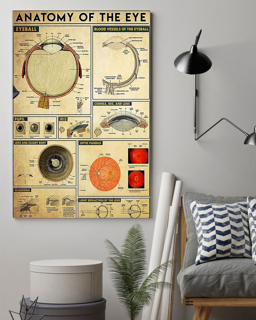 Anatomy Of The Eye Poster Ophthalmology Knowledge Poster