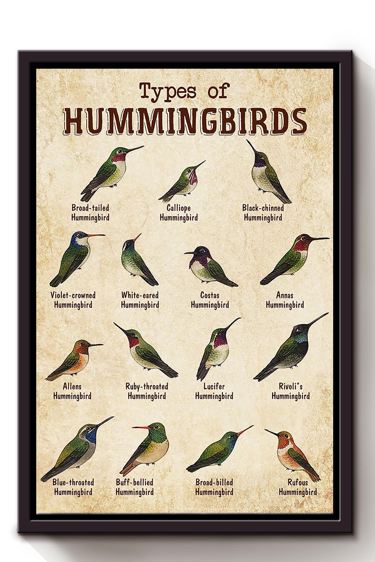 Types Of Hummingbirds Animal Knowledge For Homeschool Nusery Kids Bedroom Decor Framed Canvas