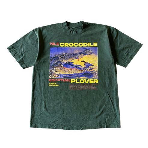 Crocodile and Plover v1 Tee Shirt Outfit  For Men  For Women