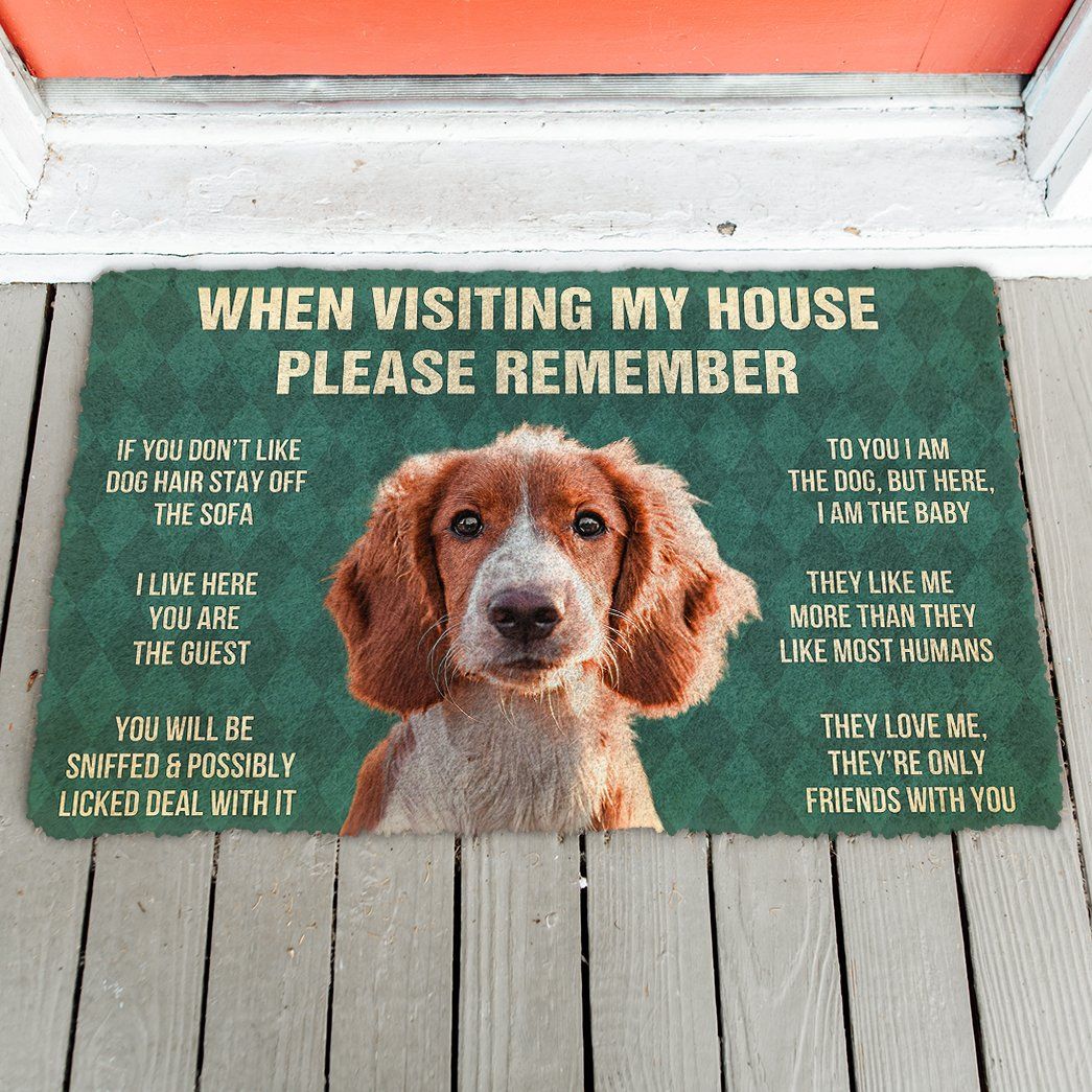 3D Please Remember Irish Red And White Setter Dogs House Rules Doormat