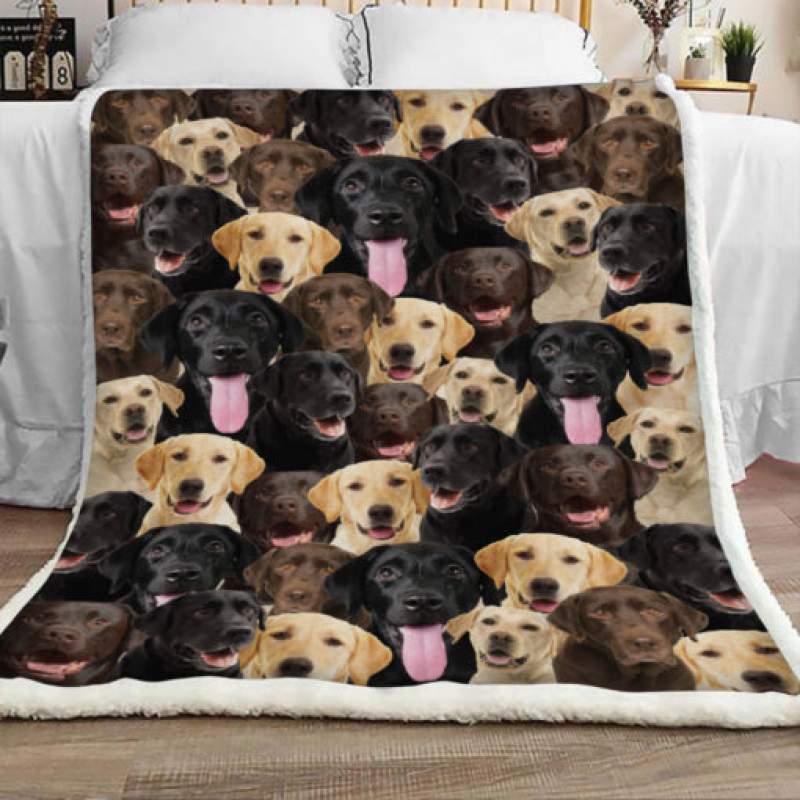 Labrador Retriever Dog Sherpa Blanket JR2102 70O51