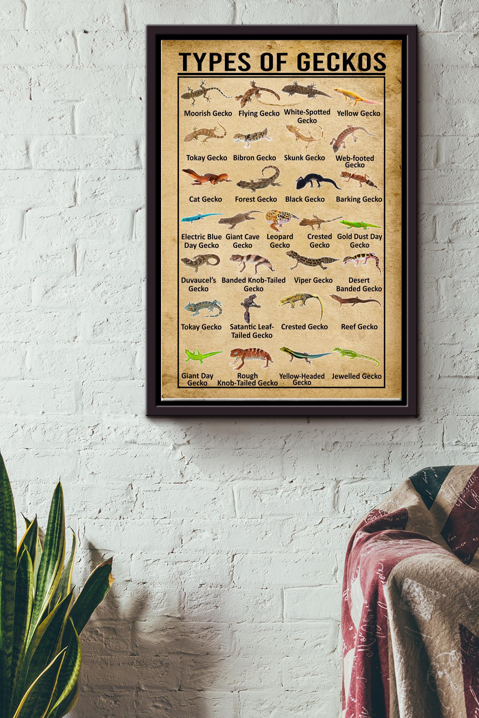 Types Of Geckos In The World Poster – Animal Wall Art – Gift For Geckos Lover Reptiles Lover Biologist Framed Matte Canvas