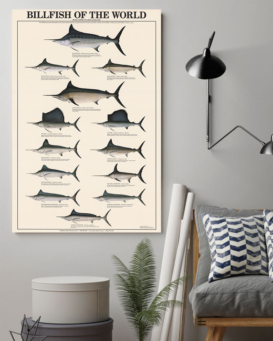 Billfish Of The World Poster Fishing Knowledge Poster