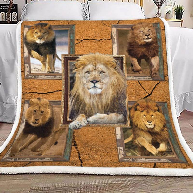 3d Lion DN1701003S Sherpa Fleece Blanket