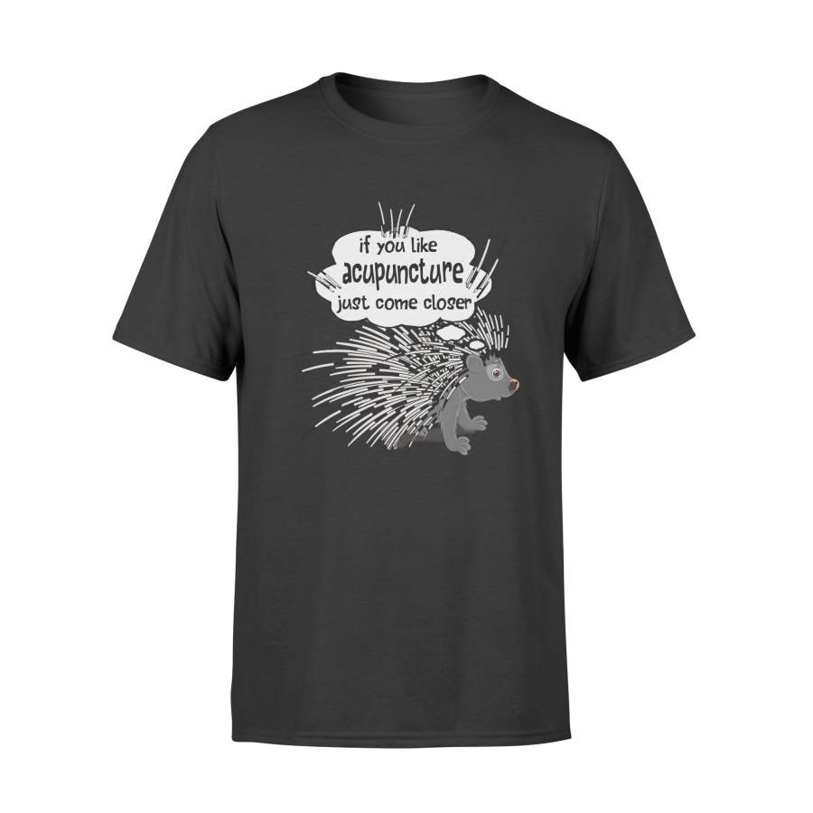 If You Like Acupuncture Just Come Closer Hedgehog T-Shirt