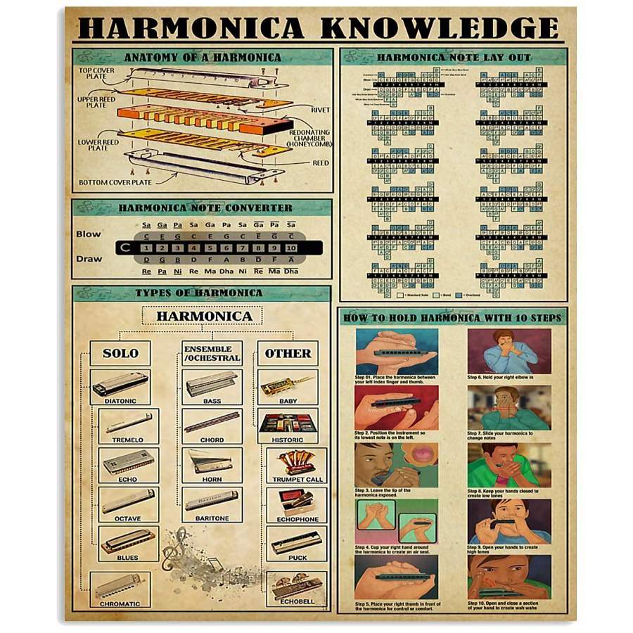 Anything About Harmonica Knowledge  Custom Design For Music Instrument Lovers Vertical Poster