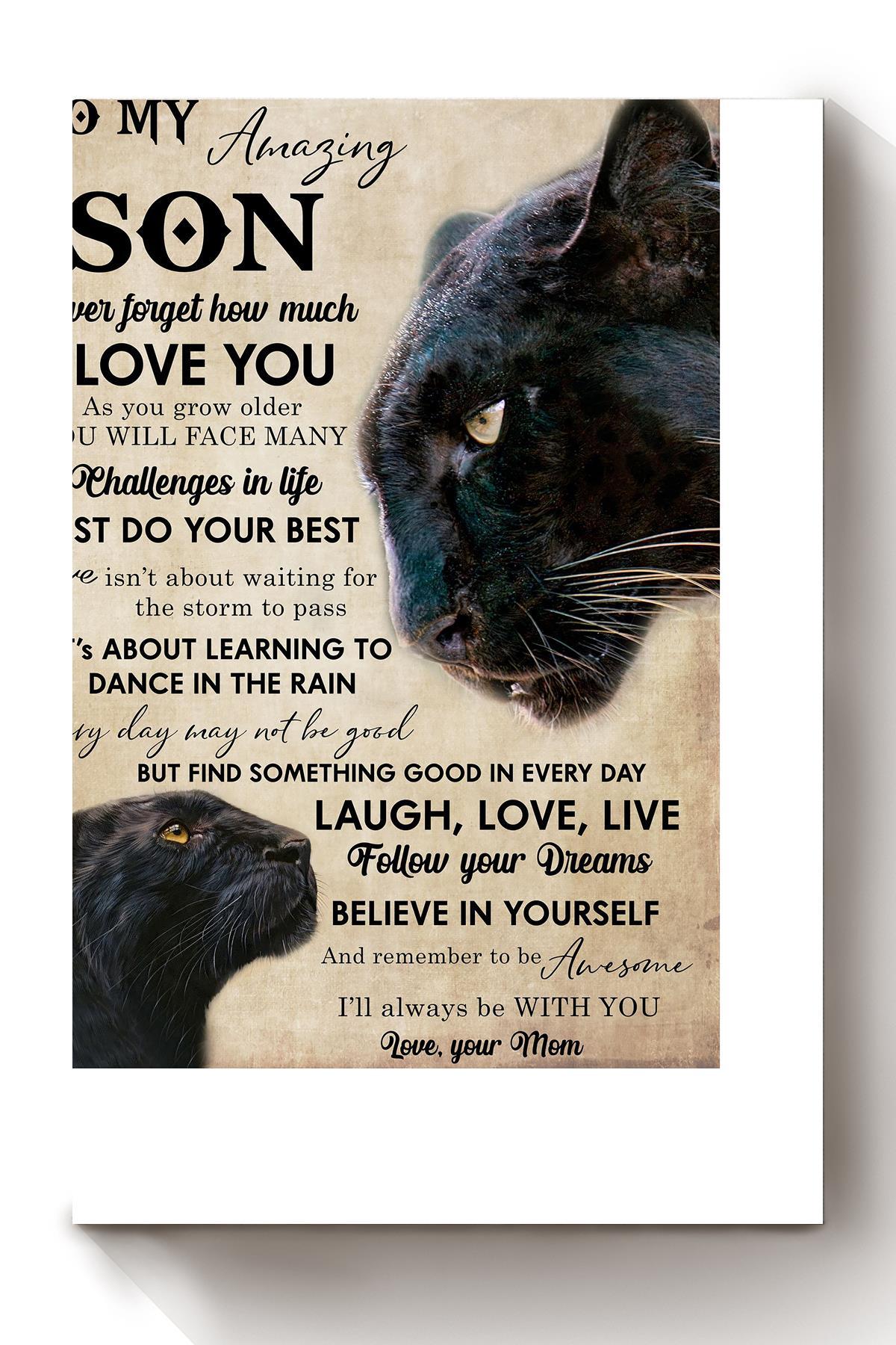 To My Son Quotes Animal Wall Art Gift For Cat Lover Cat Foster Sons Birthday Canvas