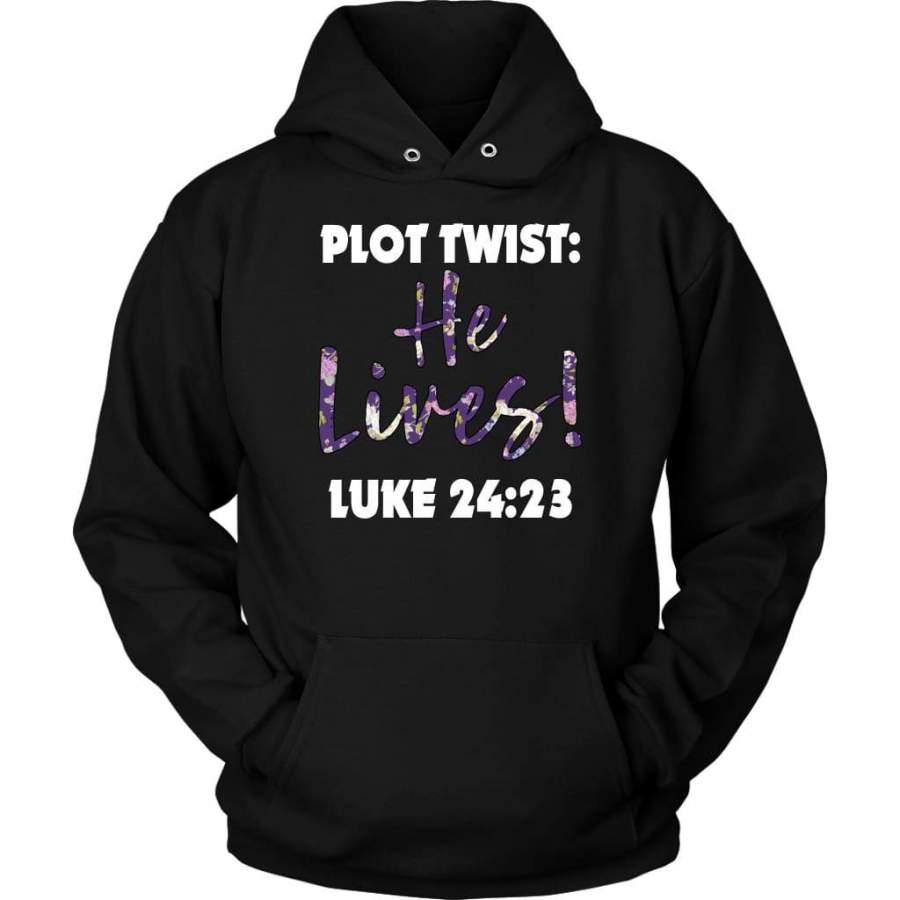 Plot twist He lives Luke 24:23 hoodie